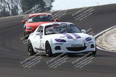 media/Feb-22-2025-SCCA SD (Sat) [[57201885c5]]/Group Two/Group 2B/